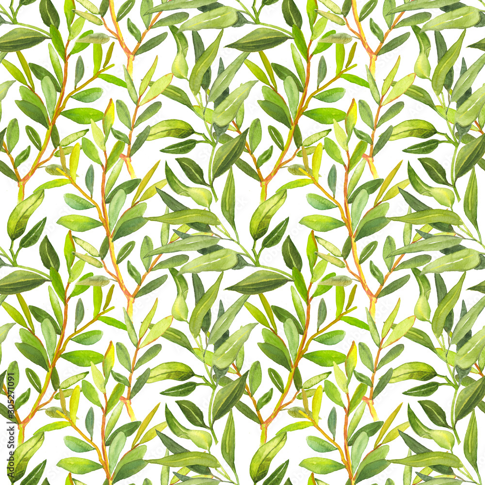 Watercolor hand painted botanical tea tree branches and leaves illustration seamless pattern - wallpaper, wrapping paper, fabrics design Watercolor hand painted botanical tea tree branches and leaves illustration seamless pattern - wallpaper, wrapping paper, fabrics design