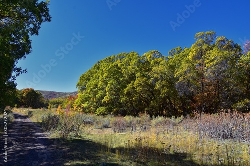 Hiking Trails in Oquirrh  Wasatch  Rocky Mountains in Utah Late Fall with leaves. Panorama forest views backpacking  biking  horseback through trees on the Yellow Fork and Rose Canyon by Salt Lake. 