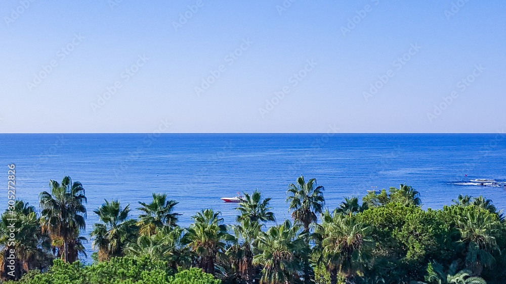Sea view of palm trees and tropical plants around the water area. Sea view of palm trees and tropical plants around the water area.