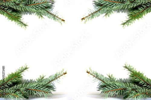 Pine tree frame isolated on white background  new year photo for text and typography