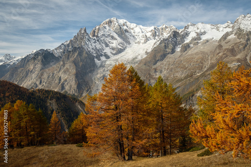 paysage d'automne