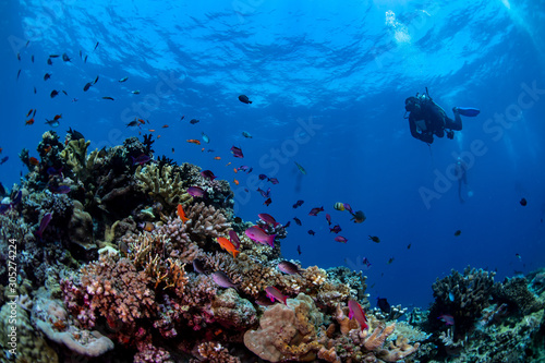 A diver swimming over a colorful reef