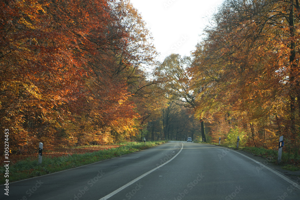 Fototapeta premium Landstraße 