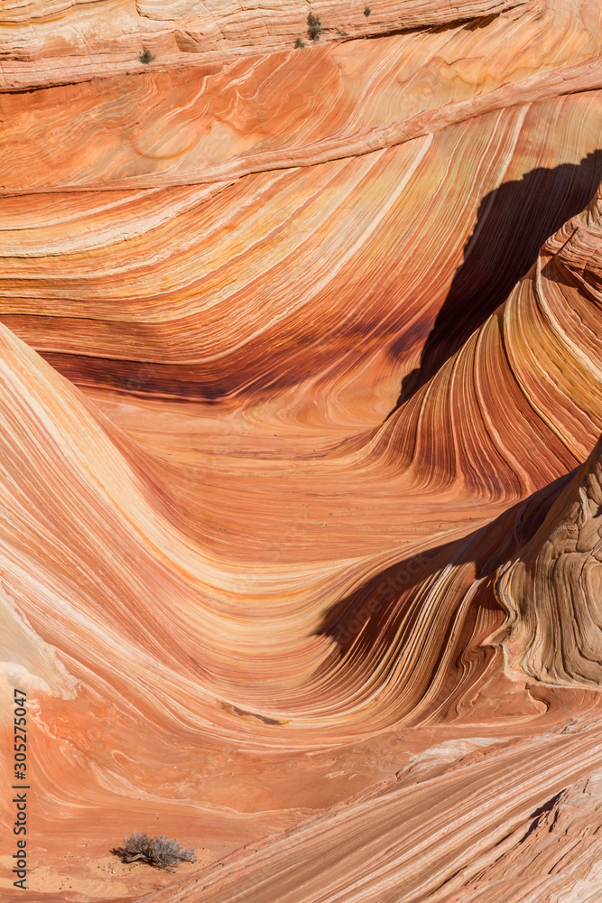 Obraz premium The Wave in Arizona under early morning light after sunrise.