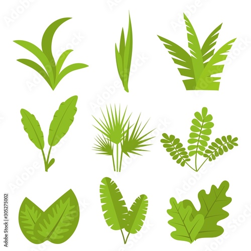 Plants  leaves  branches  bushes and pots  set. Flat vector illustration.