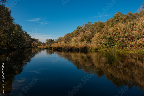 River and deciduous forest on a sunny day. © APHOTOSTUDIO