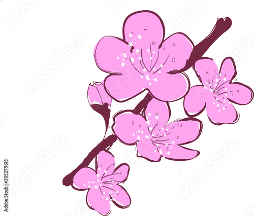 The print with sakura flowers
