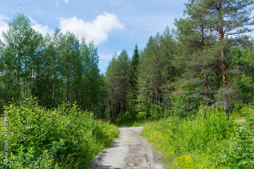 dirt road in the Karelian forest