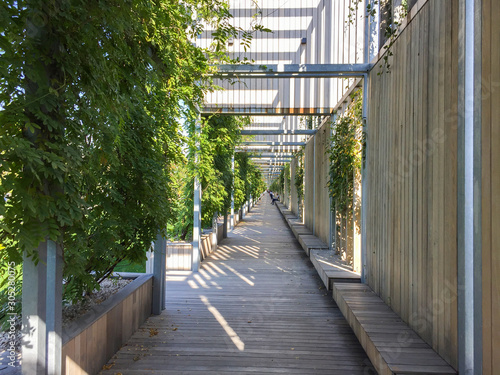wooden boardwalk on background of green plantations