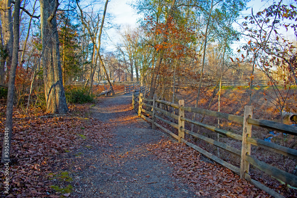 Small wooden walkway crossing a babbling brook in Allaire State Park, Wall Township, New Jersey, USA -03