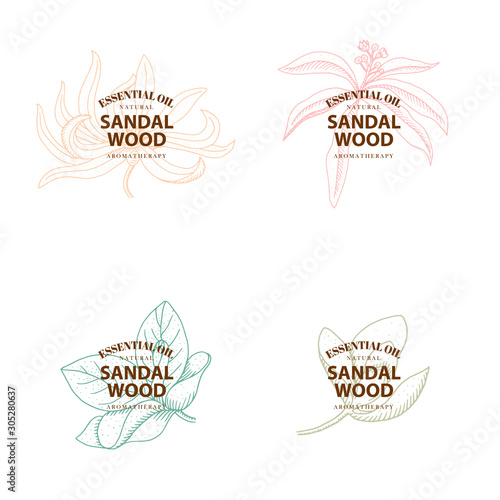 Sandalwood. Set of vector hand drawn vintage labels isolated on white background. Logo concept.