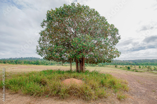 Nature Landscape View of Tropical Mountain at Thung Kamang, Thailand photo