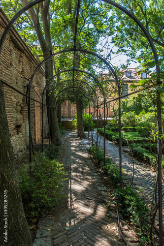 Shrubbery path in Madrid public park