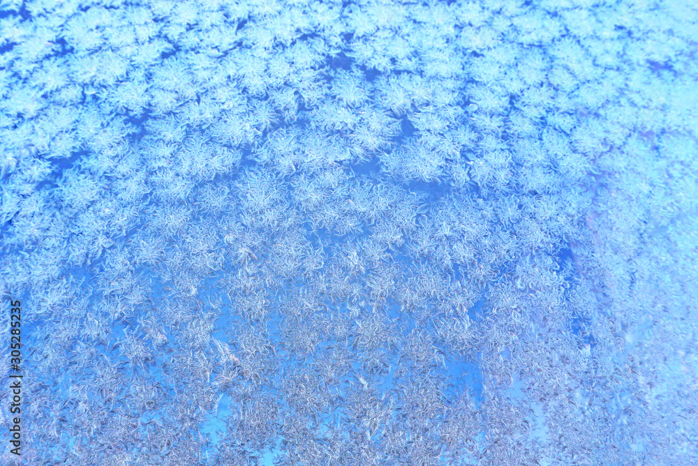 Obraz premium Winter frost in close up