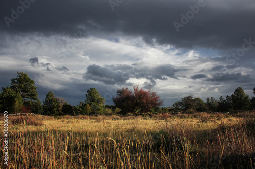 paisaje con nubes