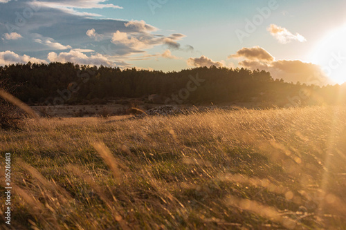 campo atardecer