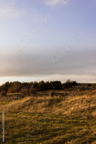 campo con cielo