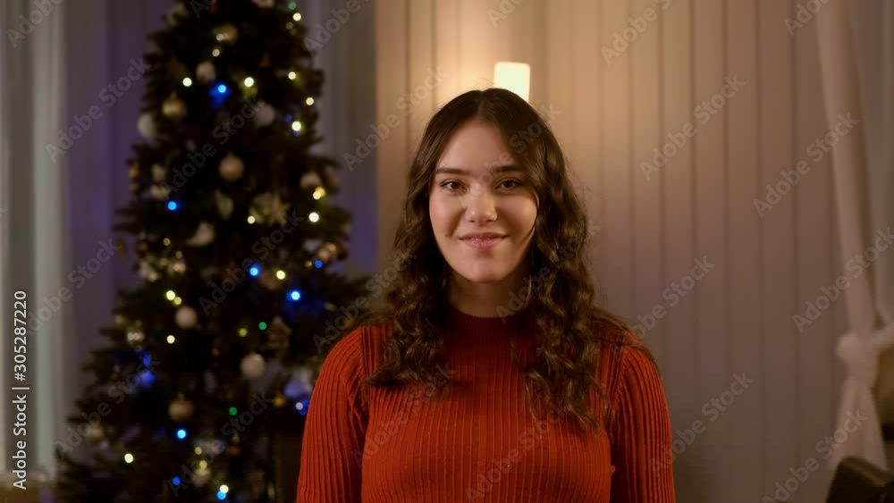 Portrait Of Pretty Young Girl. New Year's Eve. Portrait Of Pretty Young Girl. New Year's Eve.