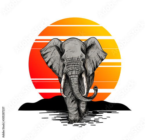 Bic elephant, front view, sunset on the background