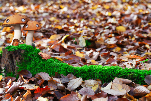 Fairy forest with miniature mushroom houses in the autumn forest