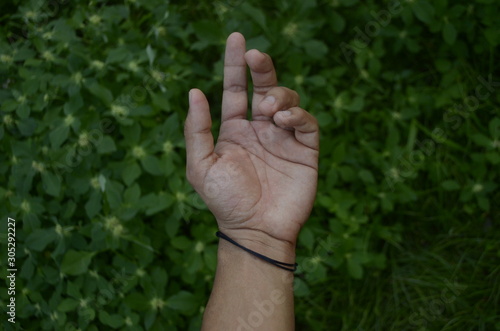 hands and nature © Jermain