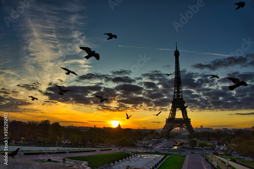Birds Flying in front of Eiffel Tower: very early morning