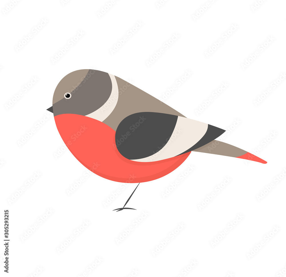Cute little colorful bird isolated on white background. Common house  sparrow. Small bird in cute cartoon style. Isolated vector clip art  illustration. Bird superb fairy wren vector Illustration Stock Vector |  Adobe