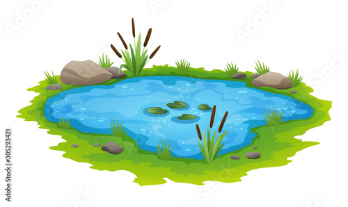 Natural pond outdoor scene. Small blue decorative pond isolated on white, lake plants nature landscape fishing place. Scenery of natural pond with flower bloom. Graphic design for Spring season