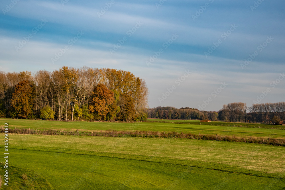 Dutch autumn landscape with beautiful colored trees Dutch autumn landscape with beautiful colored trees