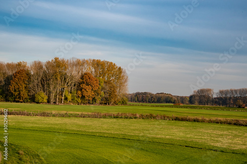 Dutch autumn landscape with beautiful colored trees © britaseifert