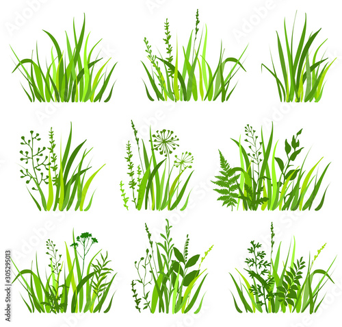 Set of  green grass with wild herbs on white background. Grass bushes of different shapes. Vector illustration.