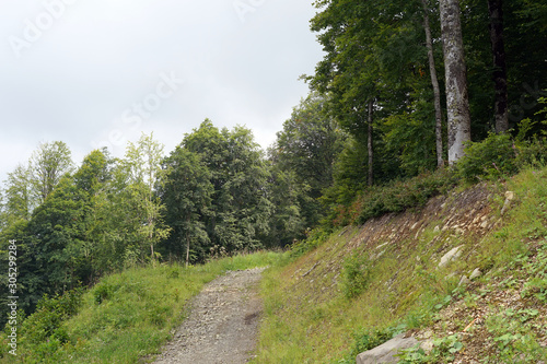 landscape, mountain, nature, forest, mountains, sky