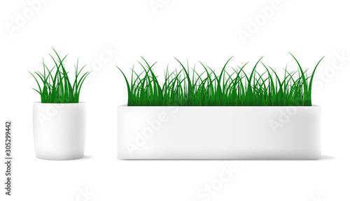 Fresh green grass in a rectangular and round pot. Vector realistic illustration.