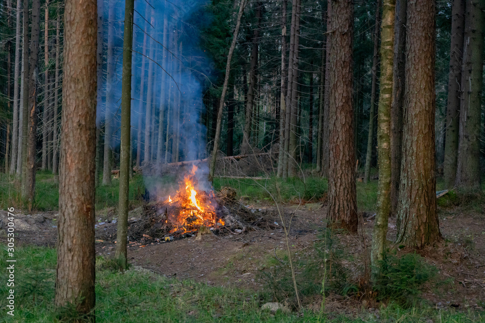 Bright bonfire burning in a pine forest. Forest fire. Bright bonfire burning in a pine forest. Forest fire.