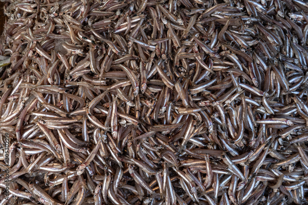 A lot of small fish on the tabla. Close-up. View from above. Space for text. Background. A lot of small fish on the tabla. Close-up. View from above. Space for text. Background.