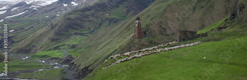Guard tower and flock of sheep and goats