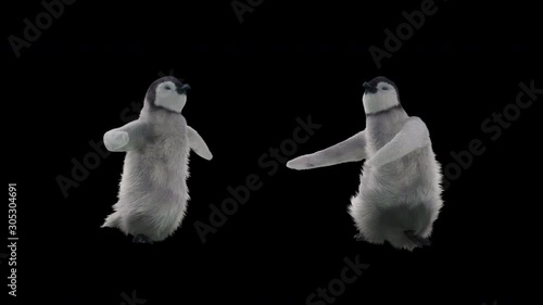 Penguin Zoo CG fur 3d rendering animal realistic CGI VFX Animation Loop Crowd dance composition 3d mapping cartoon Motion Background,(with Alpha Channel) photo