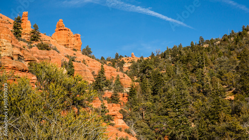 Red rock desert with cedar forest at high elevation in Southern Utah.