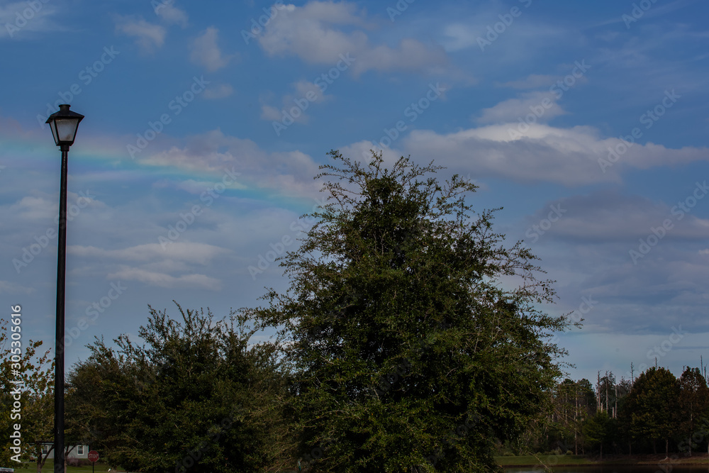 Rainbow over forest and calm lake water in Florida