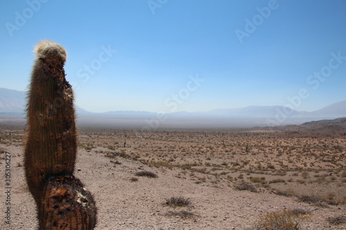 Splendid desert in the middle of the mountains, in the south of Salta, Argentina photo