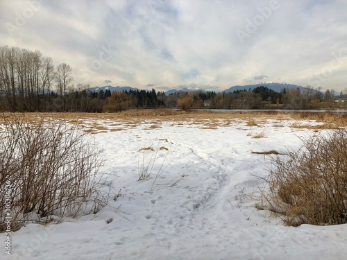 winter woodland landscape with frozen river and footprints on the snow in Deer Lake  Burnaby  British Columbia  Canada