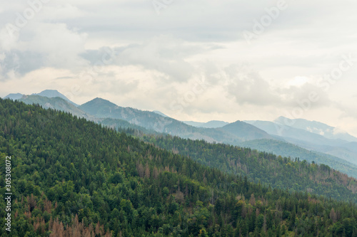 Tatry mountains covered with beautiful forests and covered with thick fog and clouds