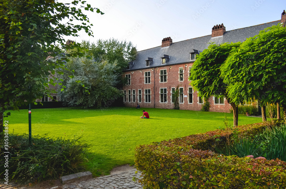 Obraz premium Boy Studying in the Green Grass