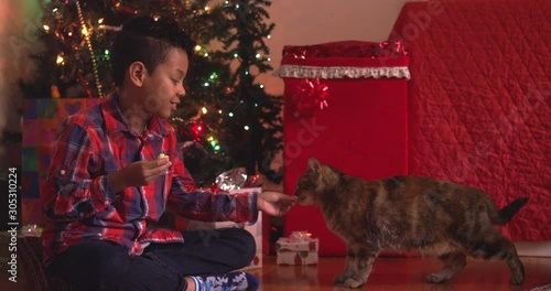 Young boy keeping cheese from a cat in front of a Christmas tree - mixed - slow motion - shot on RED