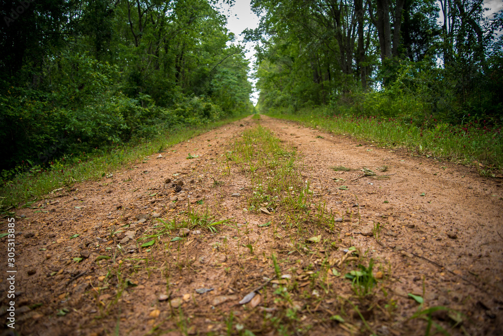 Fototapeta premium Pathway on the Country Road