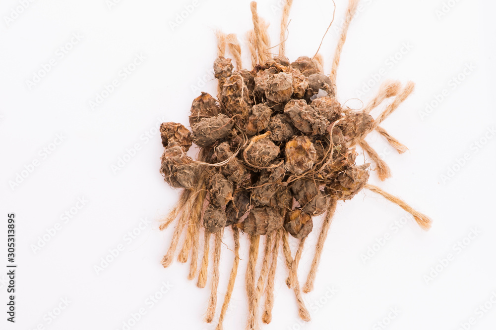 Obraz premium Tiger nuts. Tasty chufa nuts. Healthy superfood