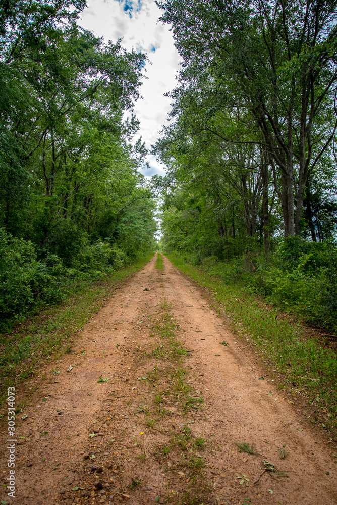 Pathway on the Country Road