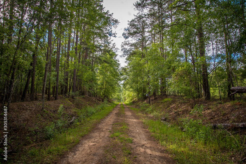 Pathway on the Country Road