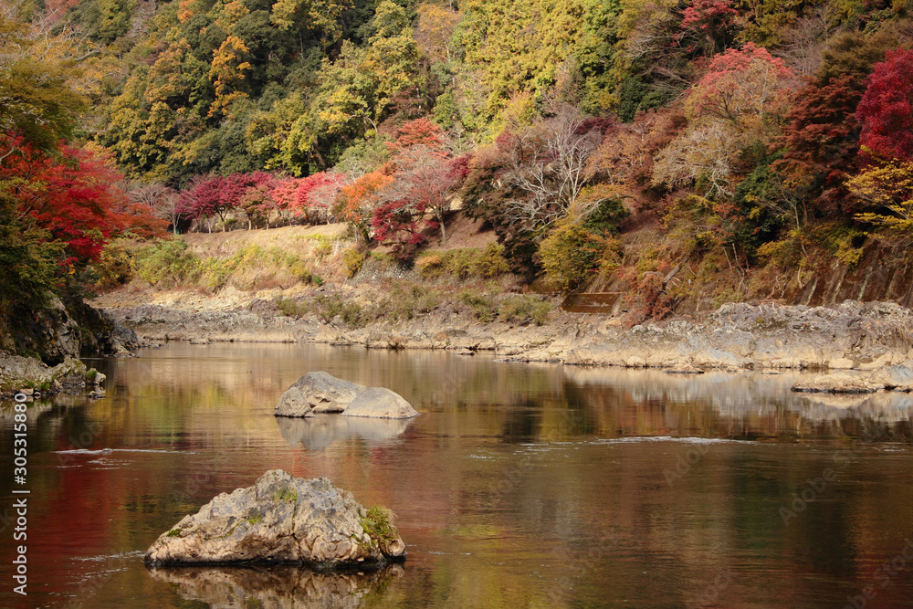 Naklejka premium 京都 保津川の紅葉