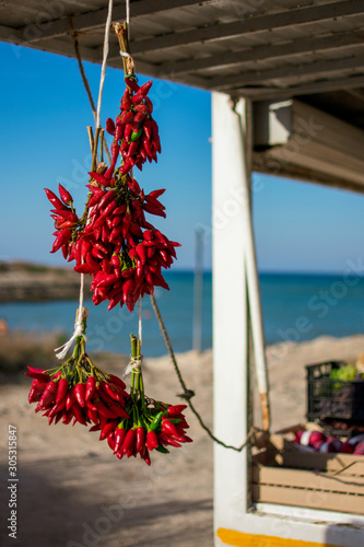 Chilli at the beach